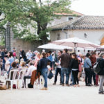 Dégustation des domaines producteurs